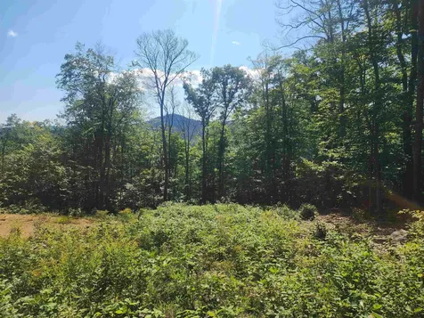 00 Jericho Road Bartlett NH 03812