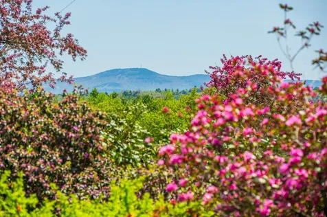 45 Barton Whitney Road Newport NH 03773