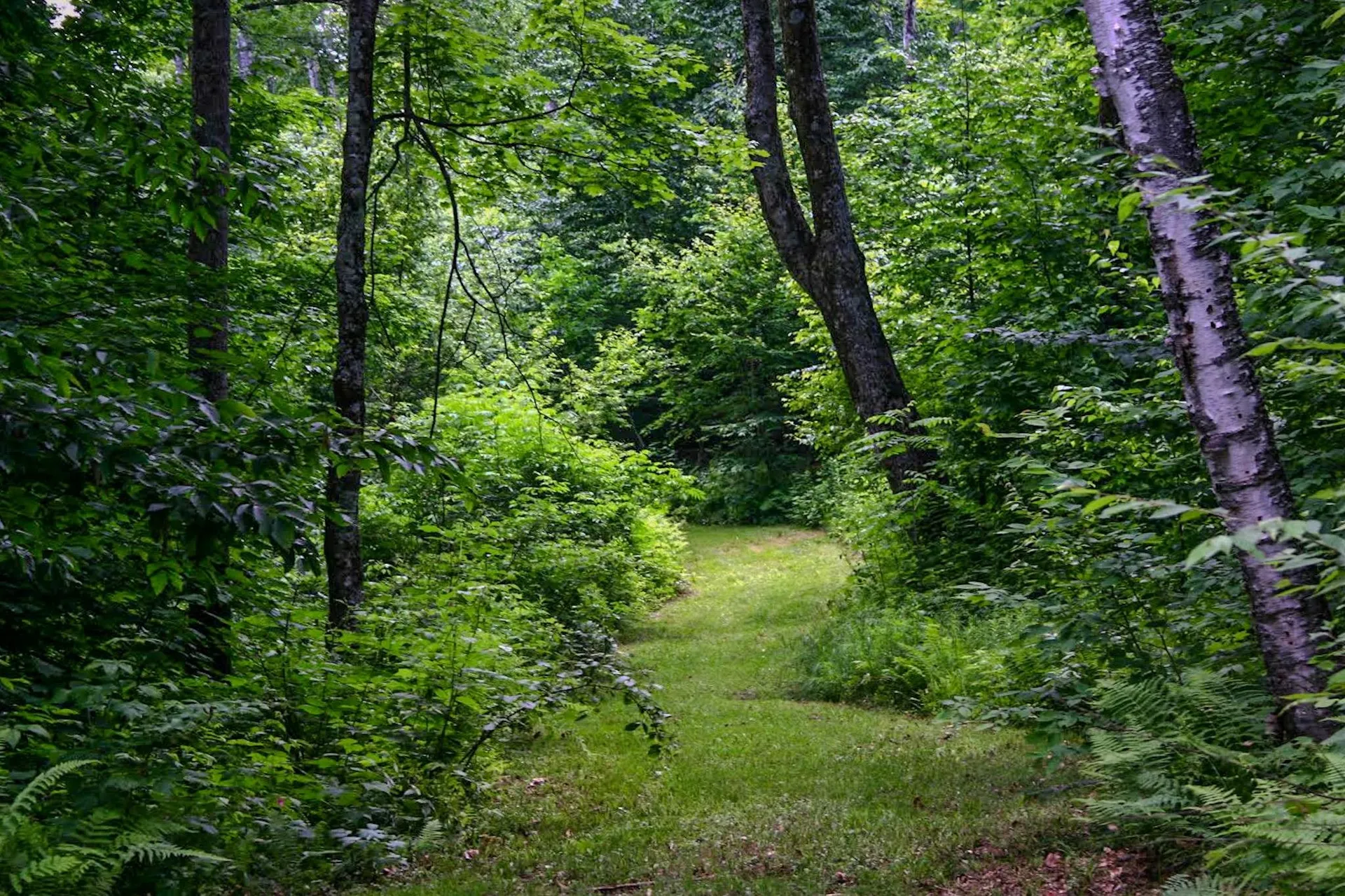 9671 Vt Route 12 Barnard VT 05031