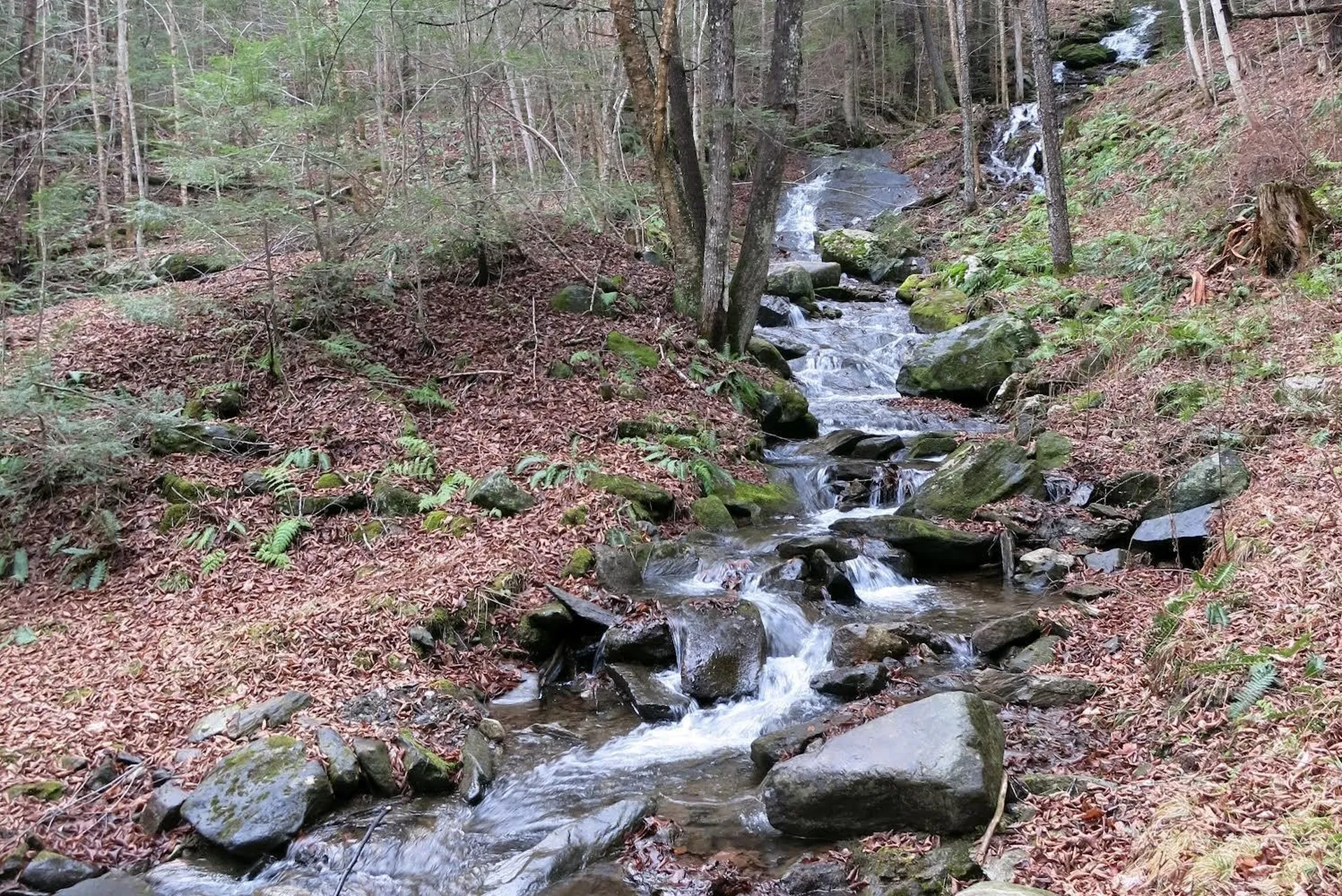 9671 Vt Route 12 Barnard VT 05031