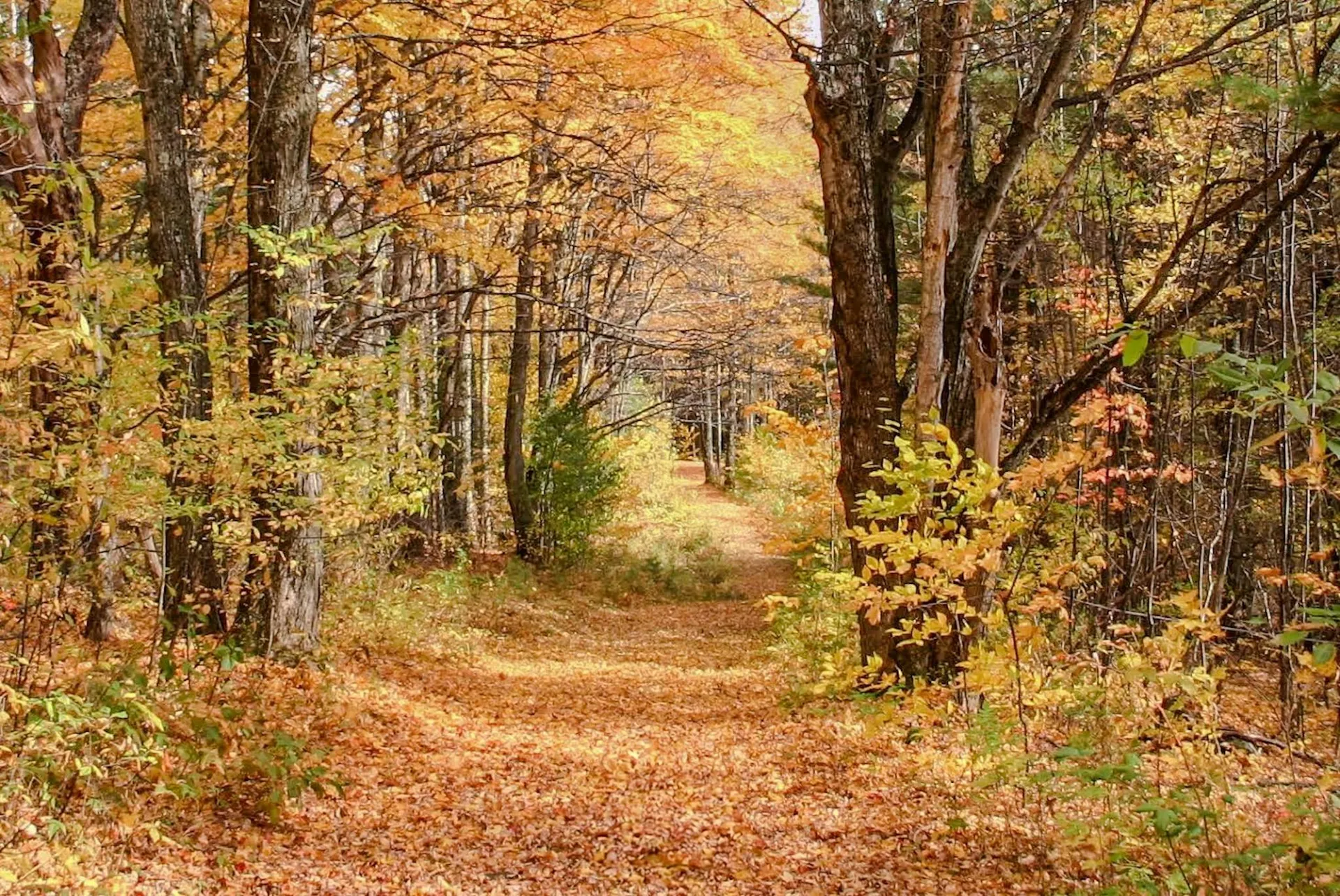 9671 Vt Route 12 Barnard VT 05031