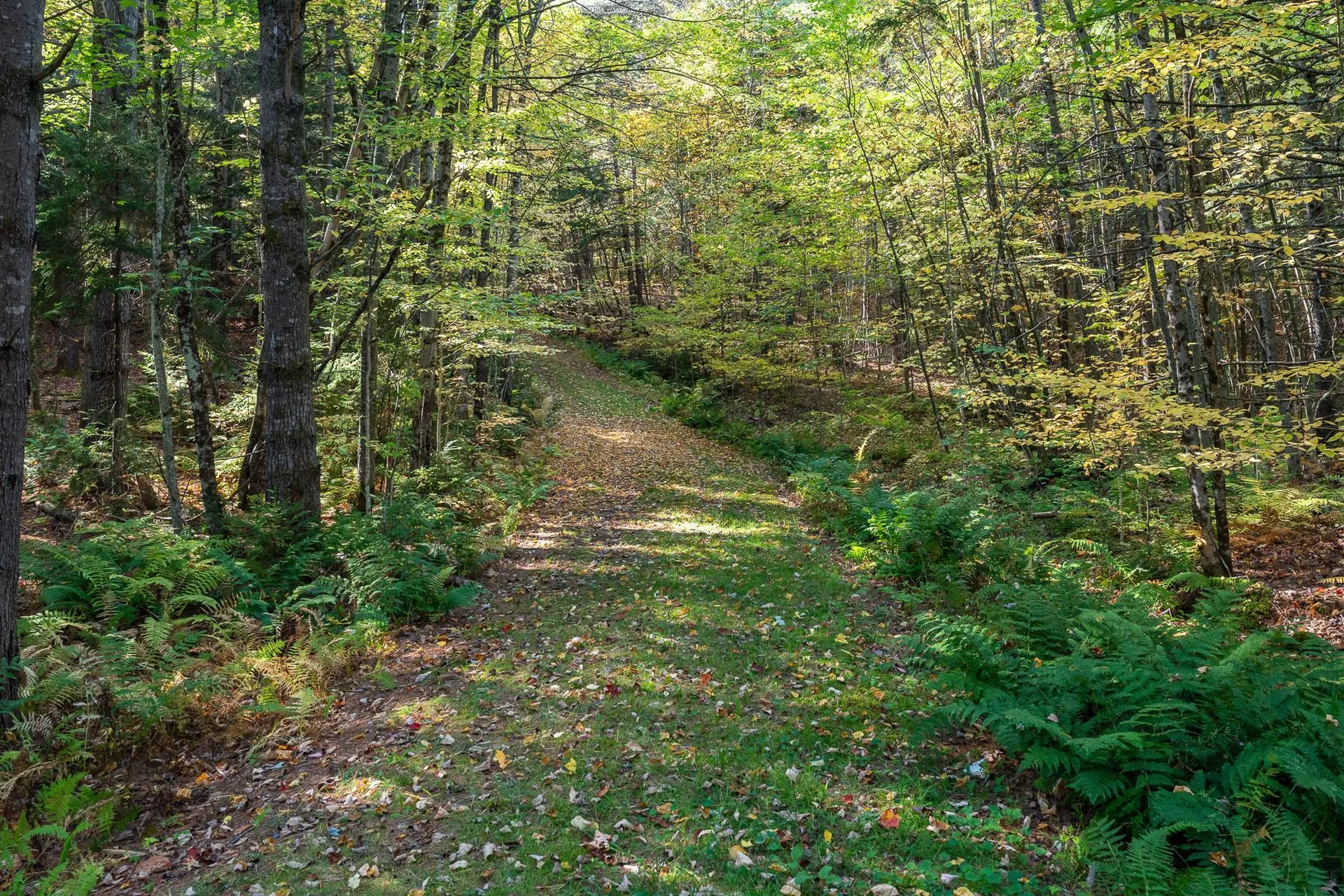 9671 Vt Route 12 Barnard VT 05031