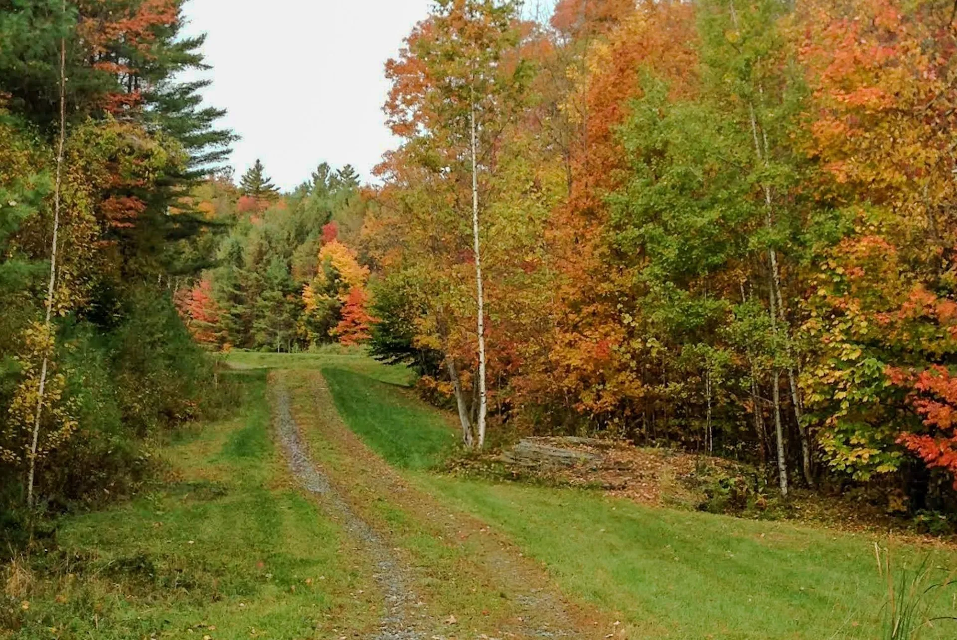 9671 Vt Route 12 Barnard VT 05031