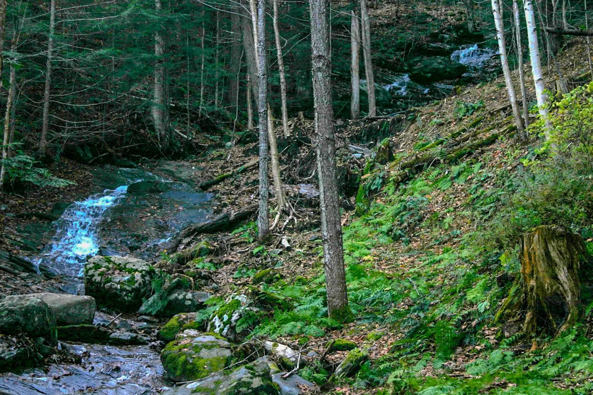 9671 Vt Route 12 Barnard VT 05031