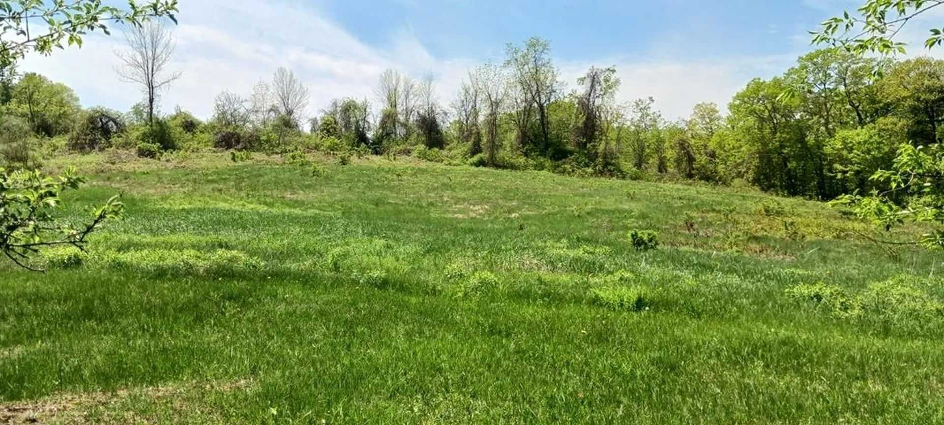 61 Orchard Road Chesterfield NH 03446