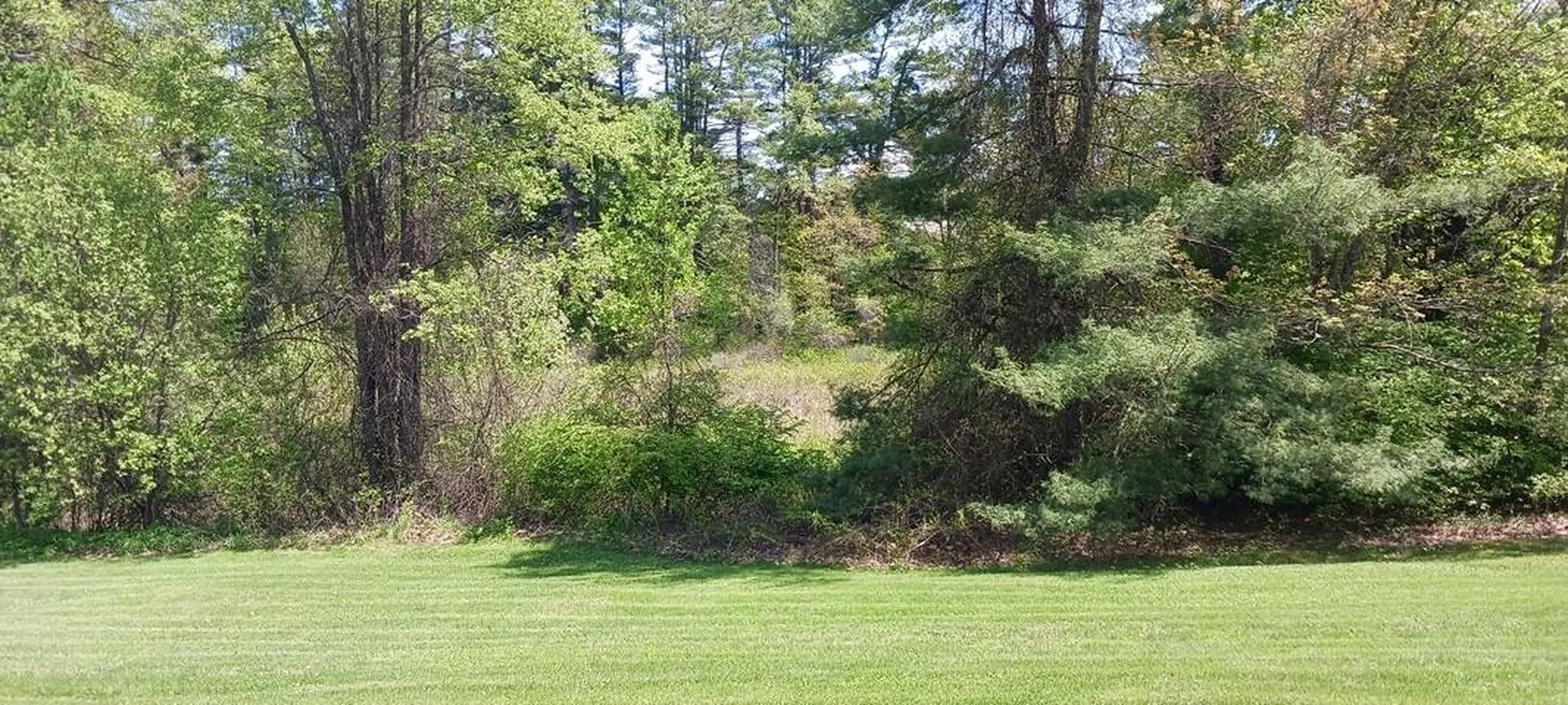 61 Orchard Road Chesterfield NH 03446