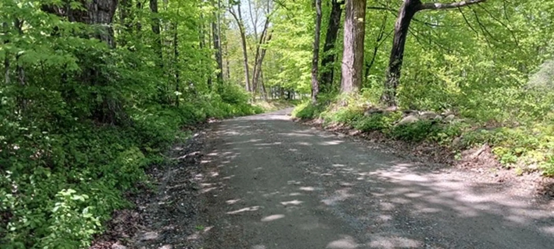 61 Orchard Road Chesterfield NH 03446