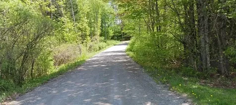 61 Orchard Road Chesterfield NH 03446