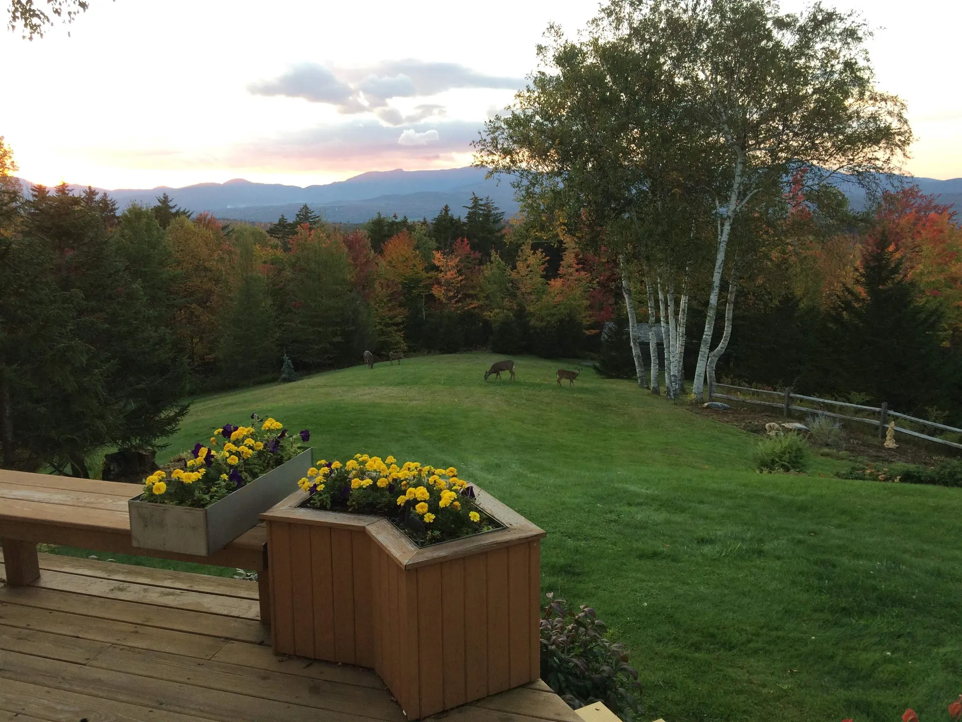 150 Worcester Ridge Elmore VT 05657