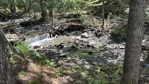 750 Hinton Hill Road Westmore VT 05860
