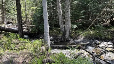 750 Hinton Hill Road Westmore VT 05860