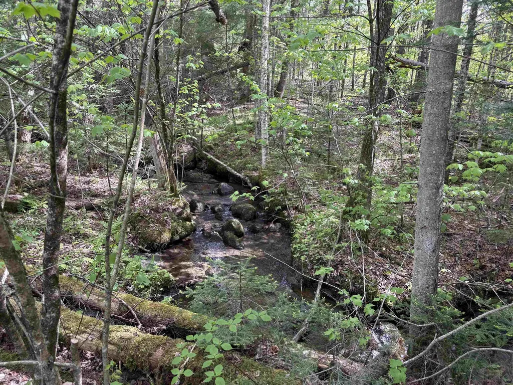 10 Youngs Road East Haven VT 05837