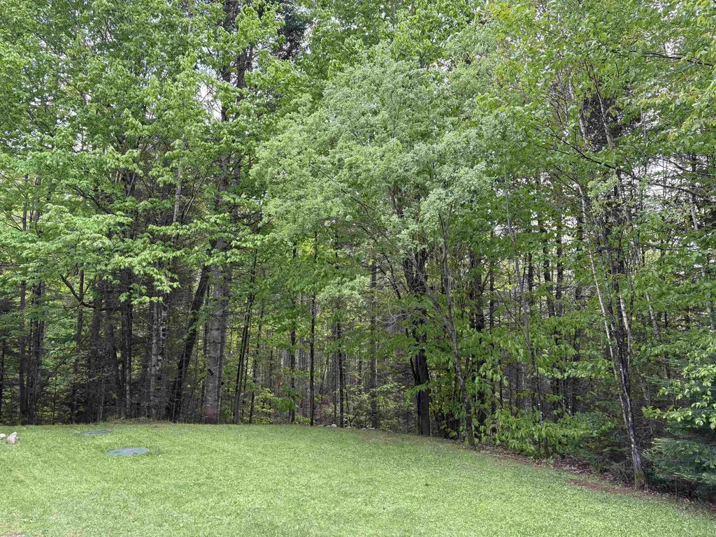 10 Youngs Road East Haven VT 05837