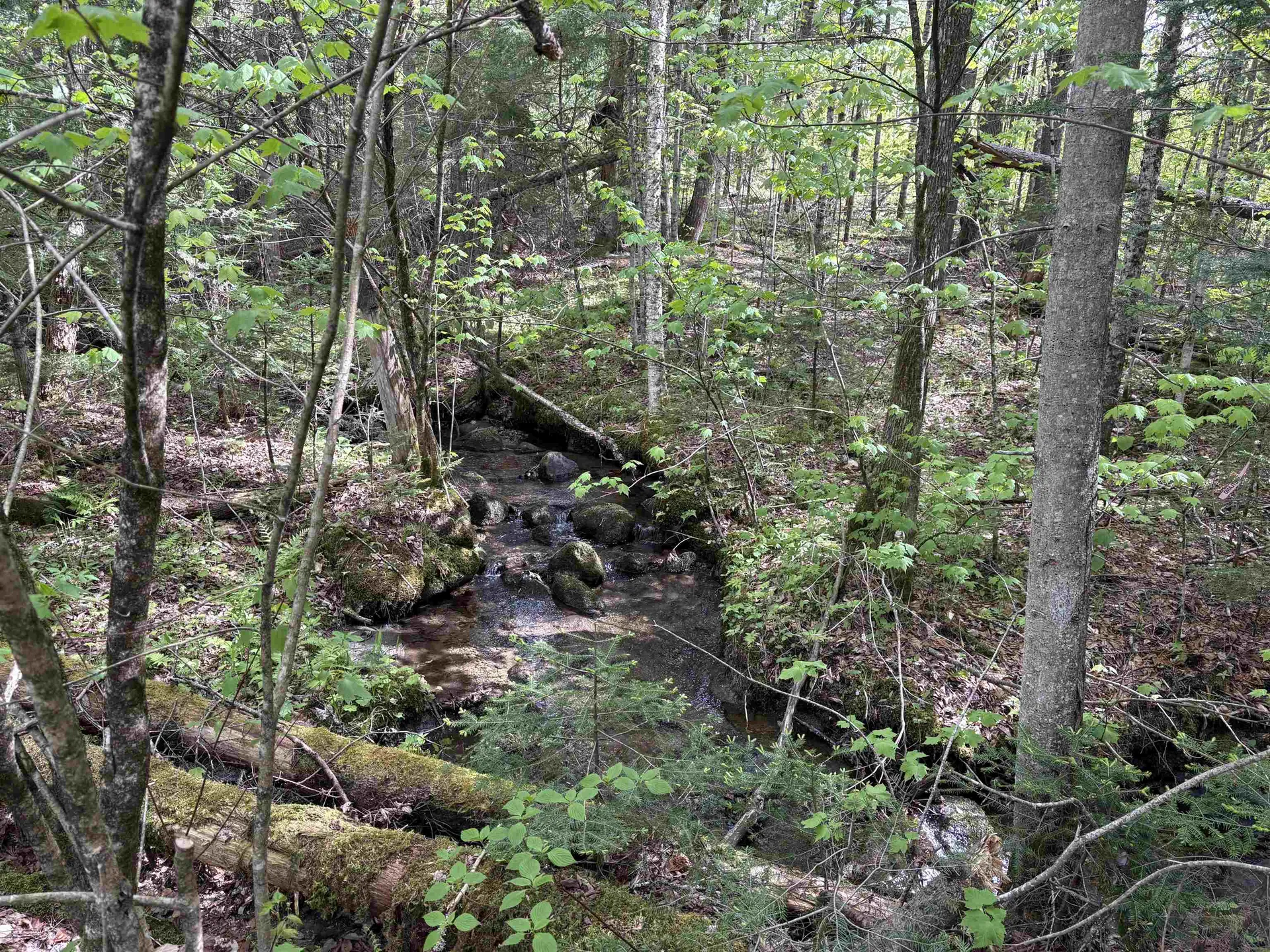 10 Youngs Road East Haven VT 05837