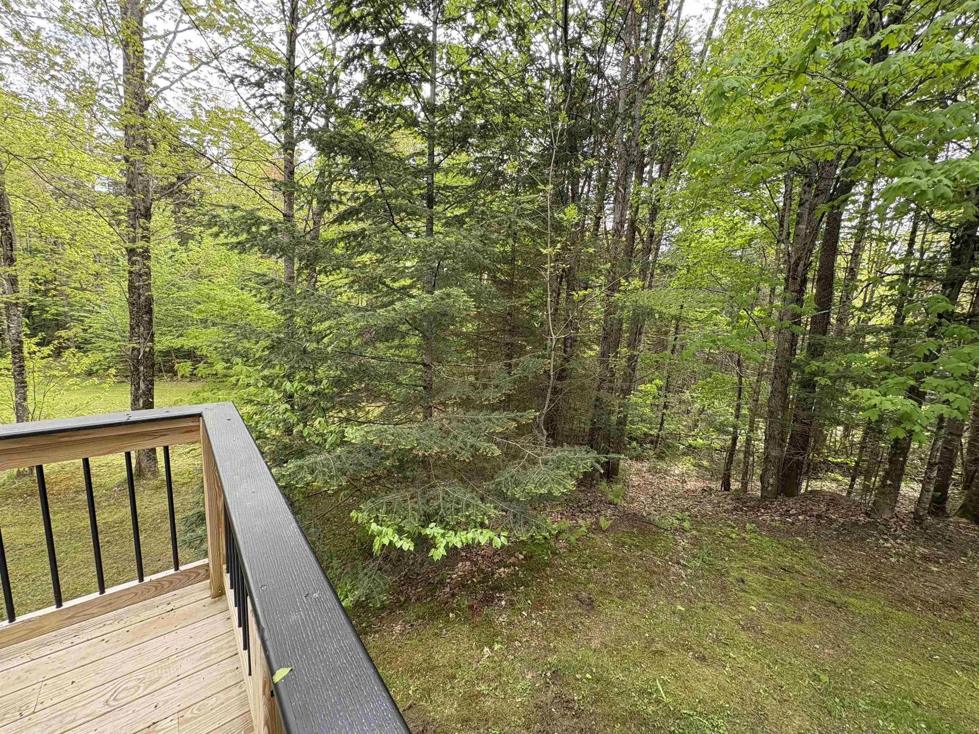 10 Youngs Road East Haven VT 05837