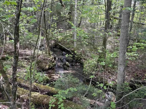10 Youngs Road East Haven VT 05837