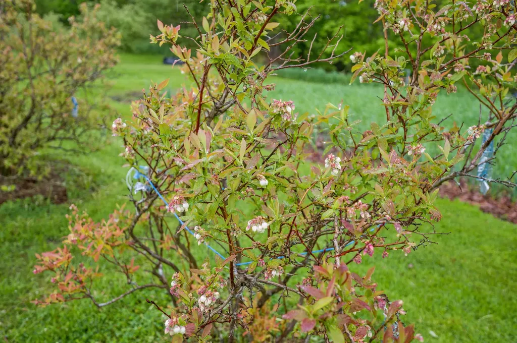 51 Lepage Road Barre Town VT 05641