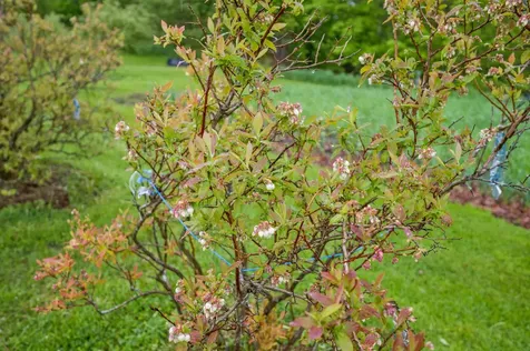 51 Lepage Road Barre Town VT 05641