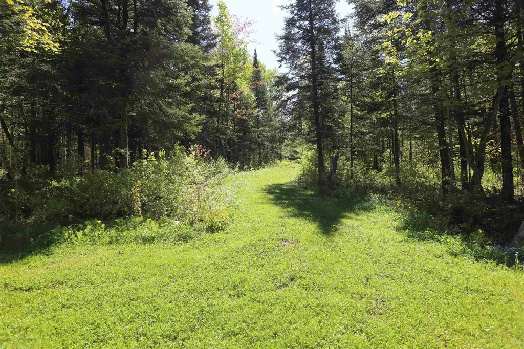 1098 Toad Pond Road Morgan VT 05853