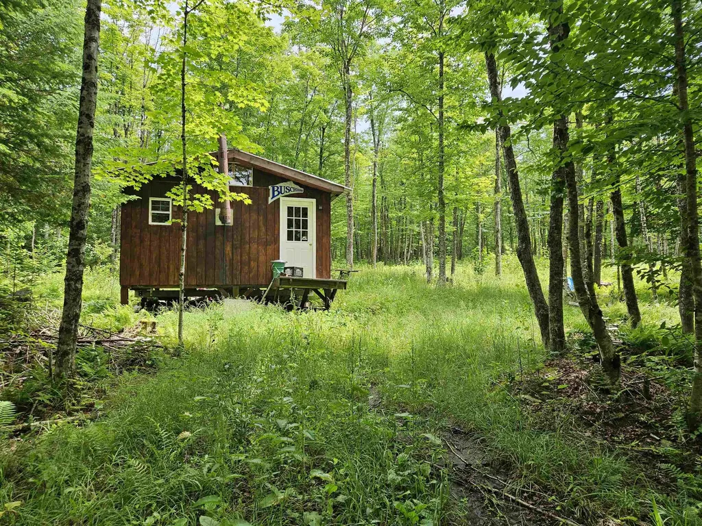 1098 Toad Pond Road Morgan VT 05853