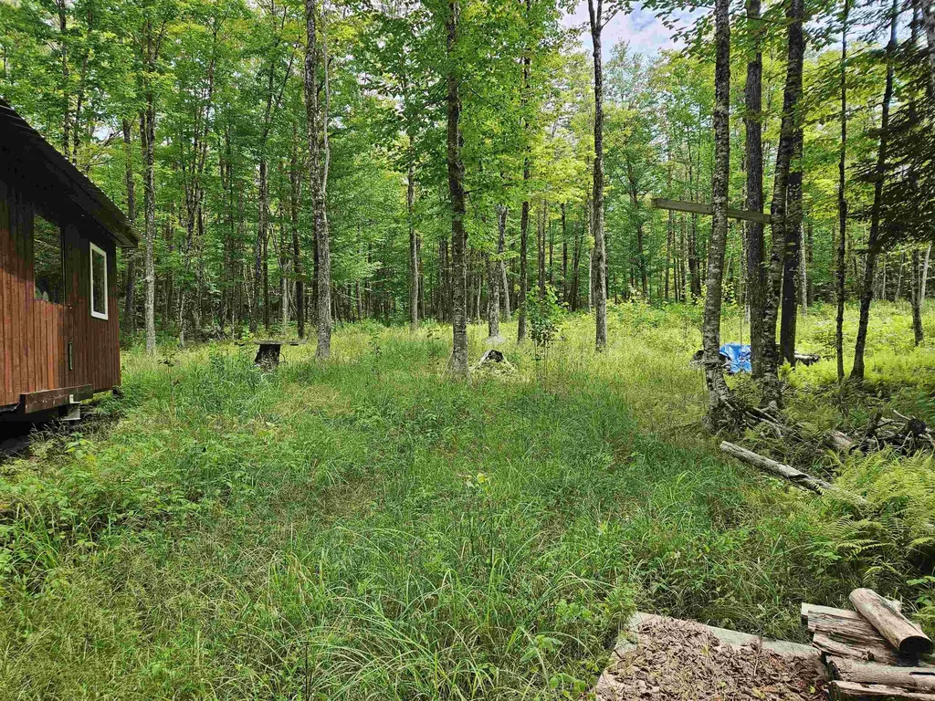 1098 Toad Pond Road Morgan VT 05853