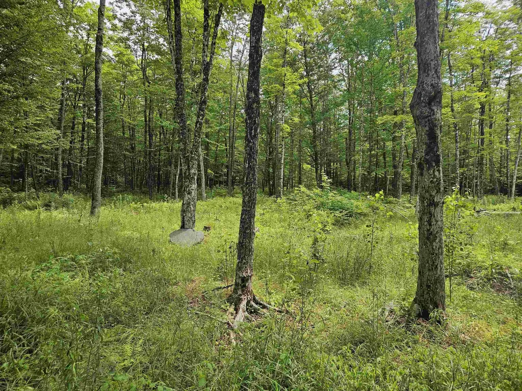 1098 Toad Pond Road Morgan VT 05853