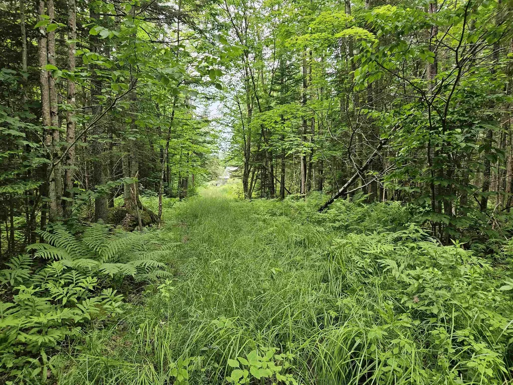 1098 Toad Pond Road Morgan VT 05853