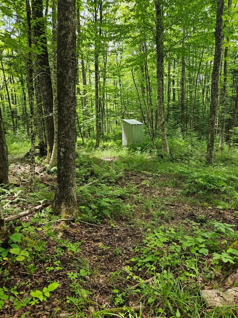 1098 Toad Pond Road Morgan VT 05853