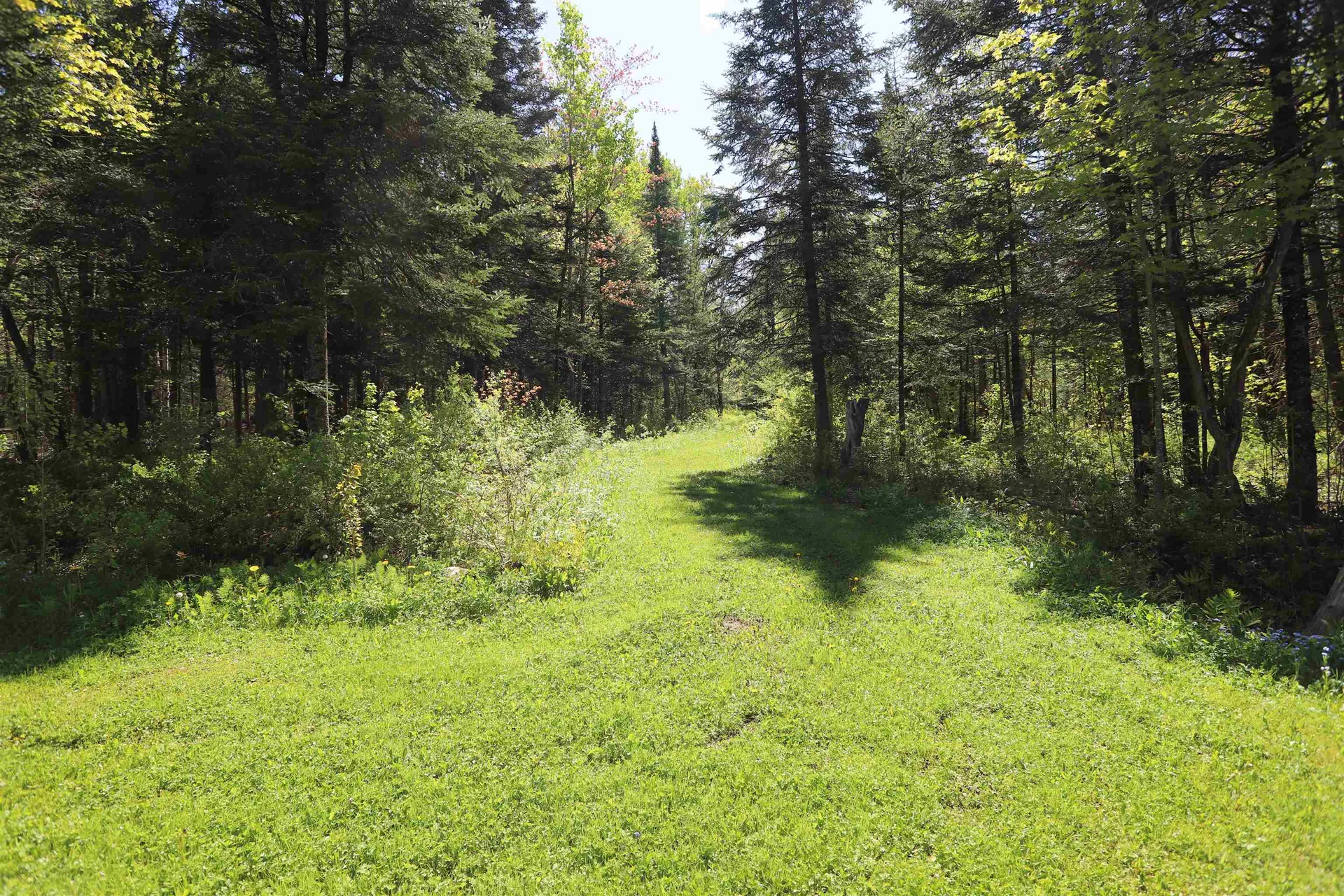 1098 Toad Pond Road Morgan VT 05853