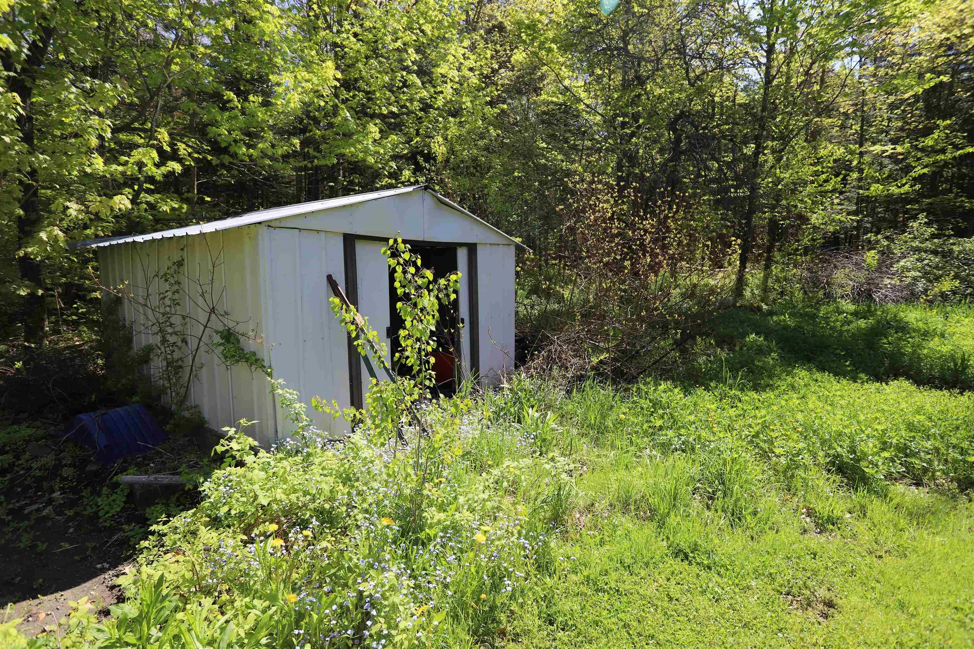 1098 Toad Pond Road Morgan VT 05853