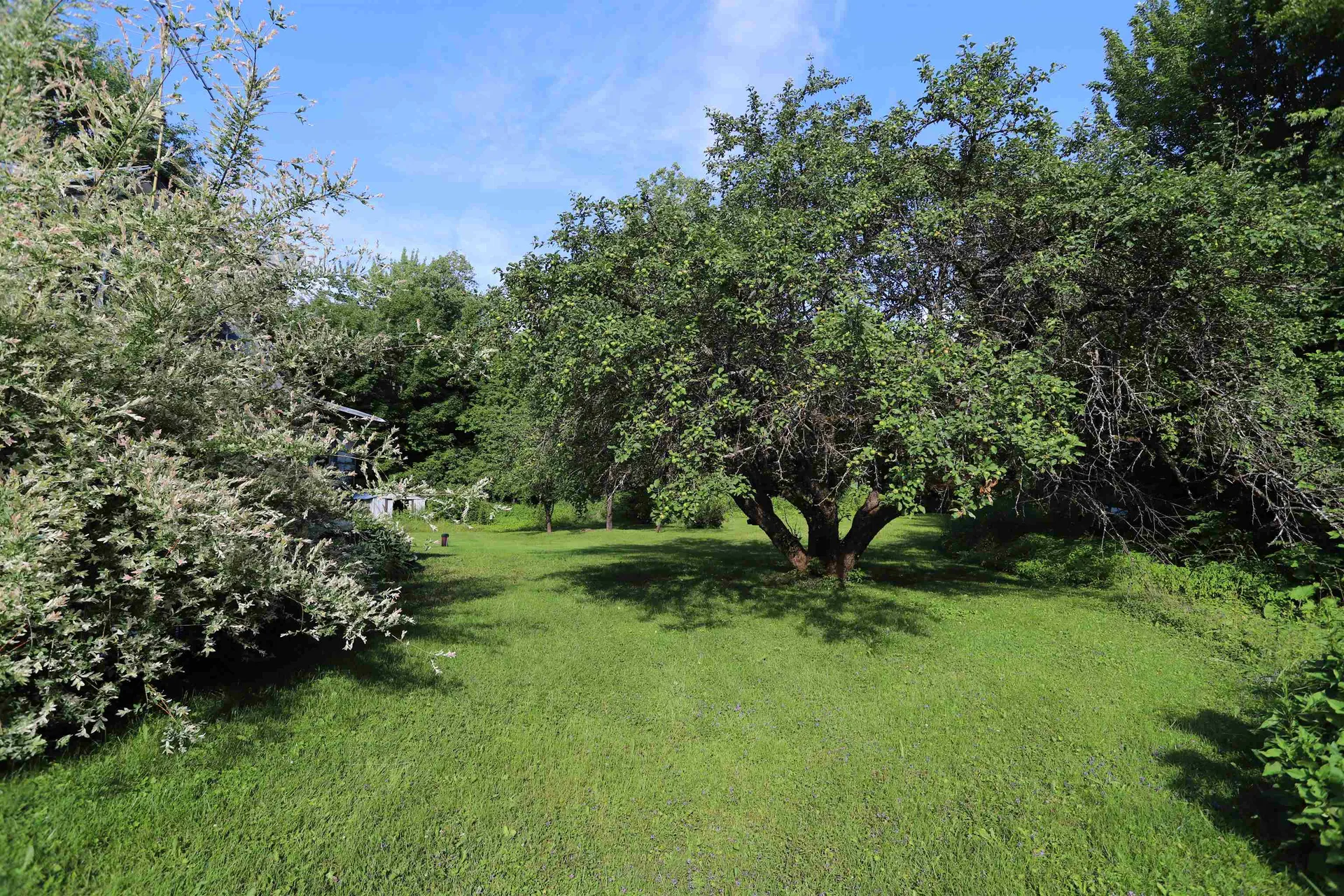 1098 Toad Pond Road Morgan VT 05853