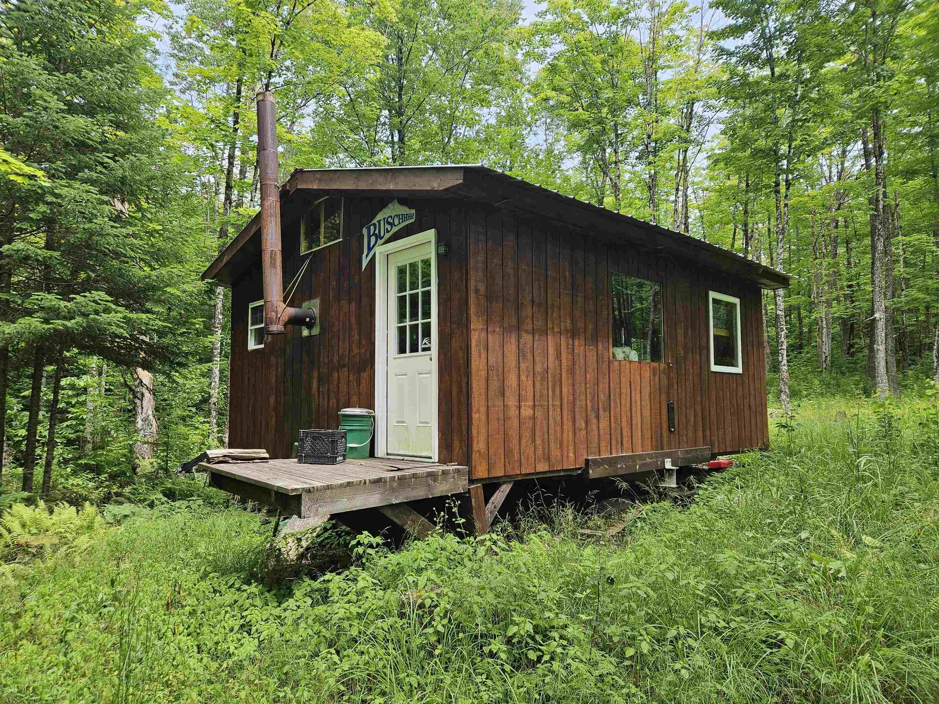 1098 Toad Pond Road Morgan VT 05853