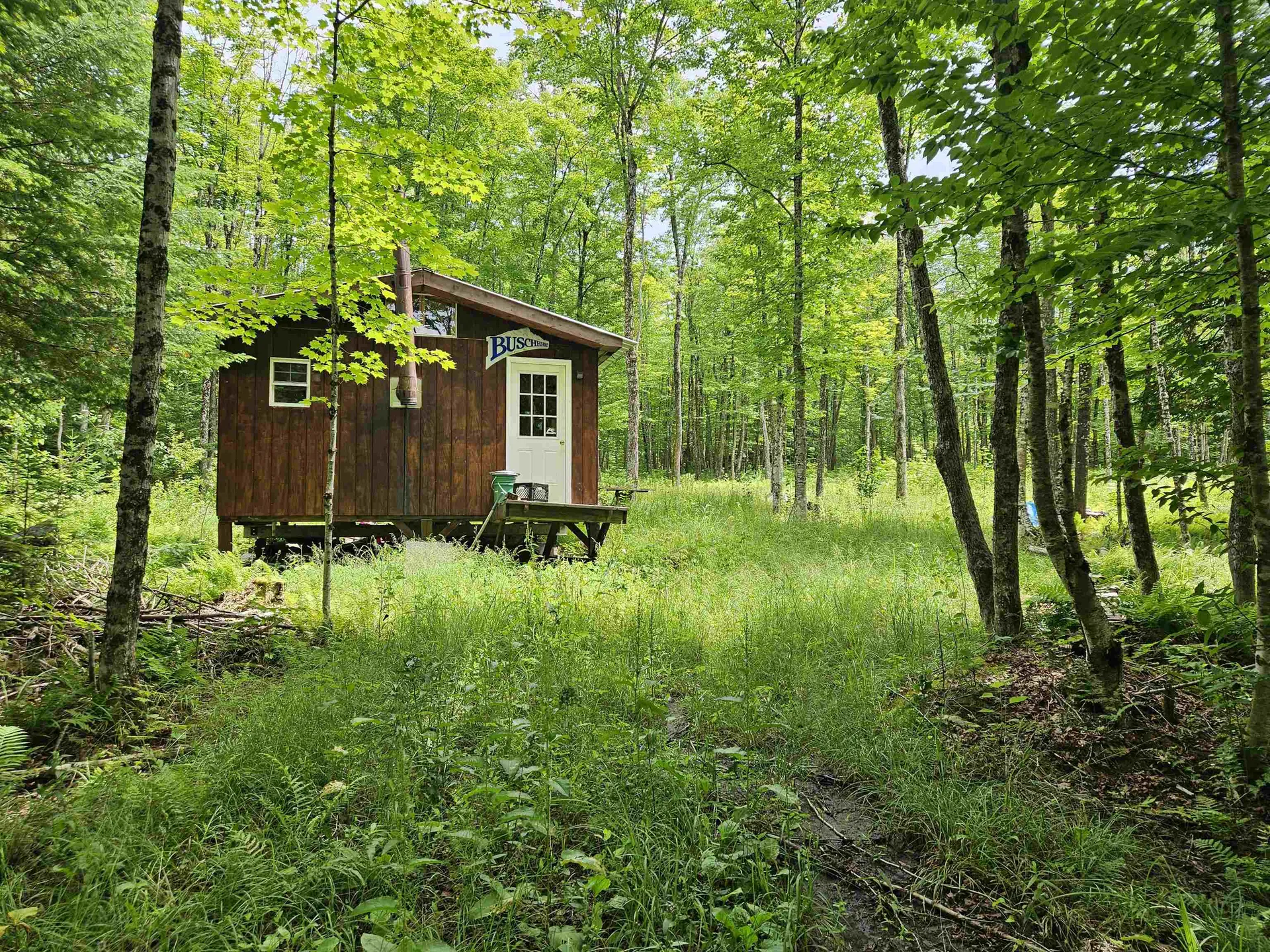 1098 Toad Pond Road Morgan VT 05853