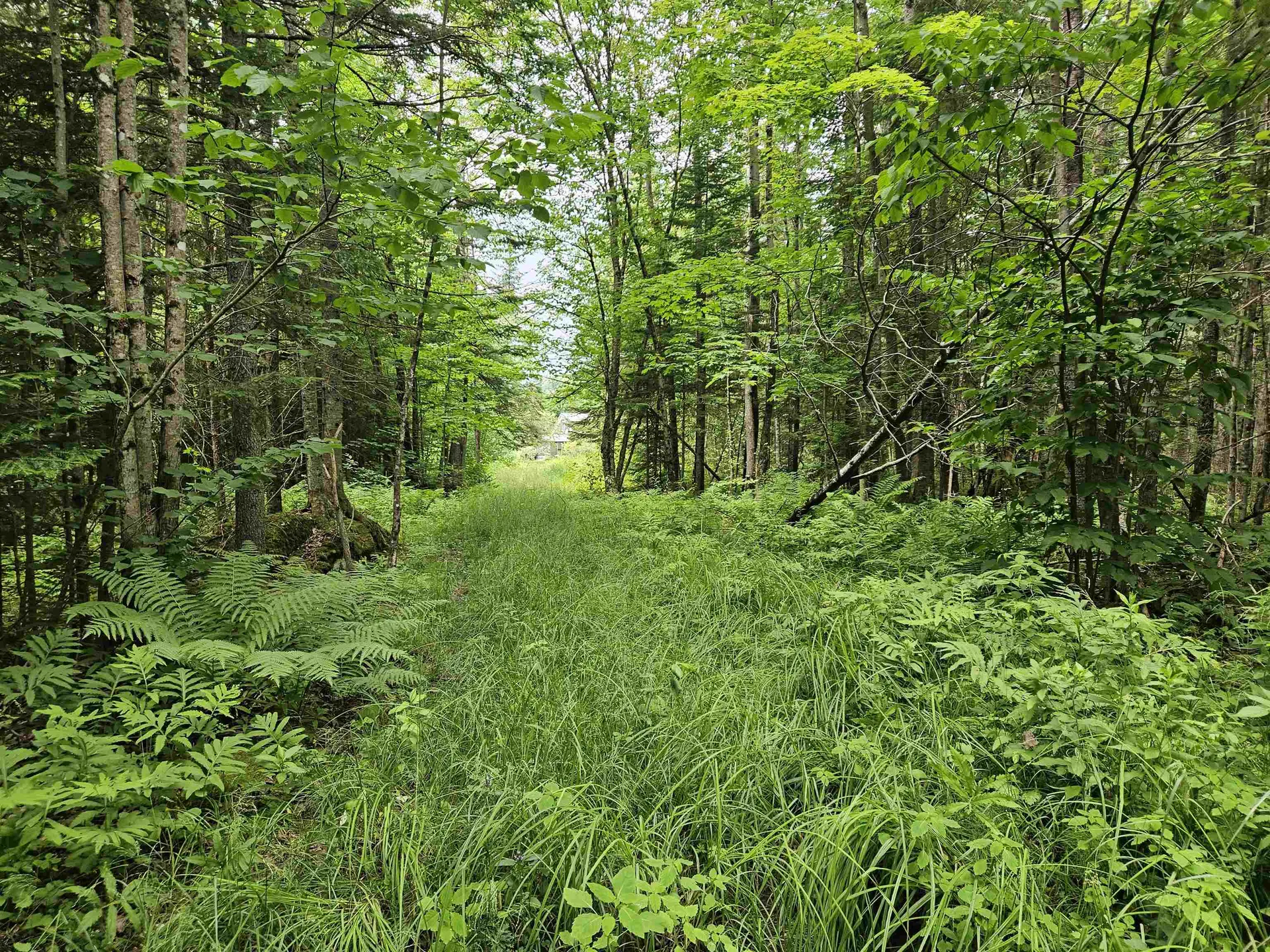 1098 Toad Pond Road Morgan VT 05853