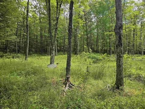 1098 Toad Pond Road Morgan VT 05853