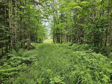 1098 Toad Pond Road Morgan VT 05853