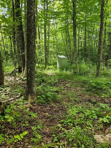 1098 Toad Pond Road Morgan VT 05853