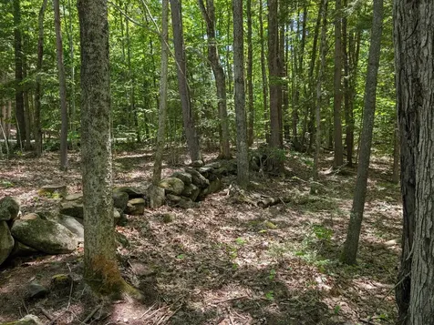 116 Hutchins Hill Road Hopkinton NH 03229