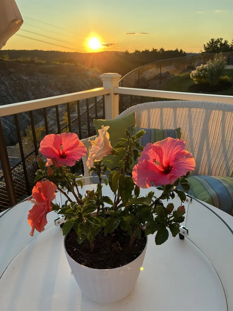 24 Del Ray Drive Windham NH 03087