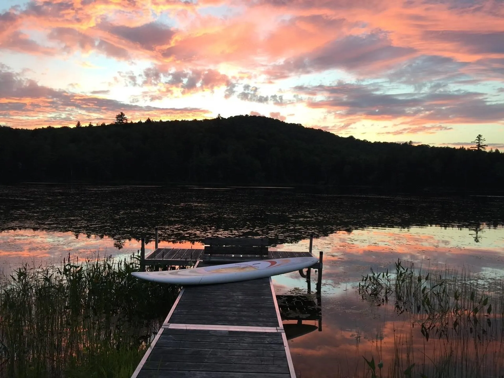 1247 Cole Pond Road Jamaica VT 05343