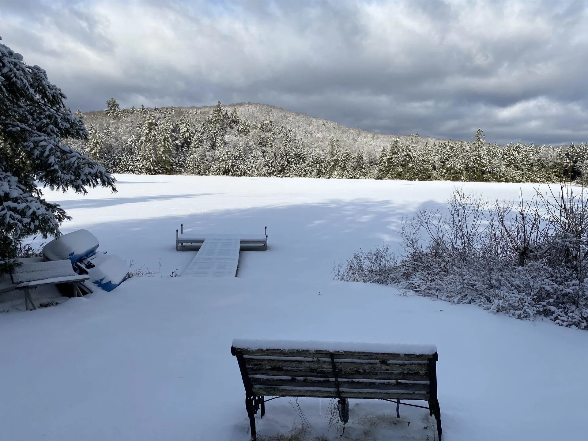 1247 Cole Pond Road Jamaica VT 05343