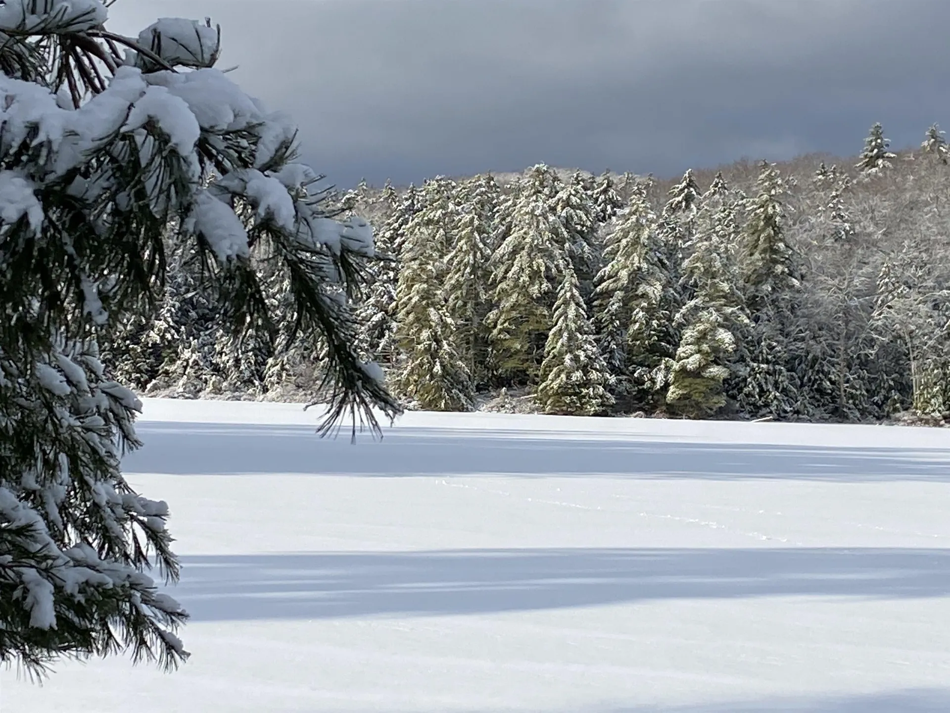 1247 Cole Pond Road Jamaica VT 05343