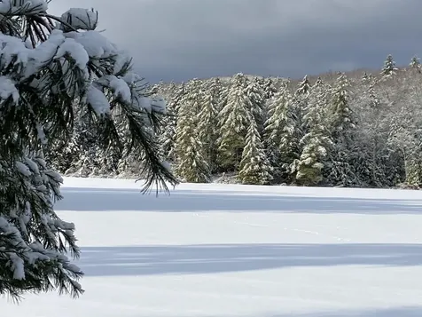 1247 Cole Pond Road Jamaica VT 05343