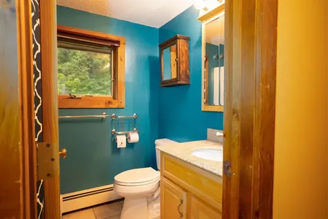 1247 Cole Pond Road Jamaica VT 05343