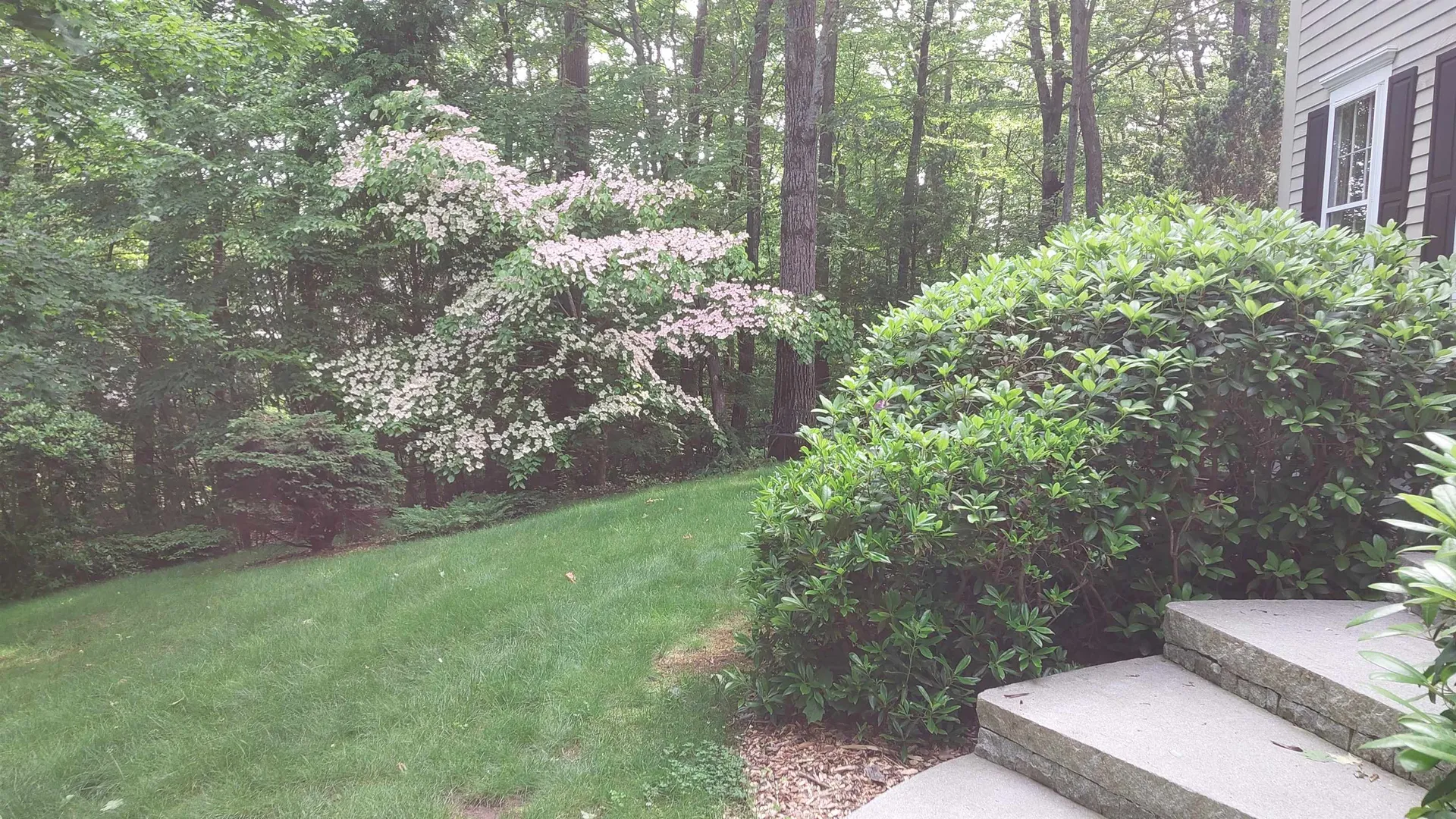 9 Wildwood Road Auburn NH 03032