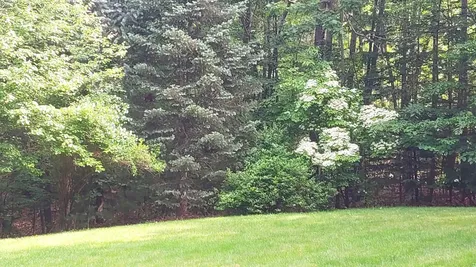 9 Wildwood Road Auburn NH 03032