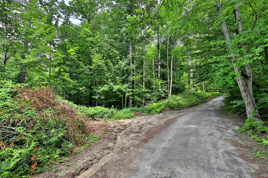 00 White Pine Hill Mendon VT 05701