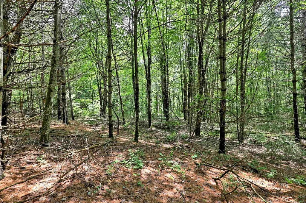 00 White Pine Hill Mendon VT 05701