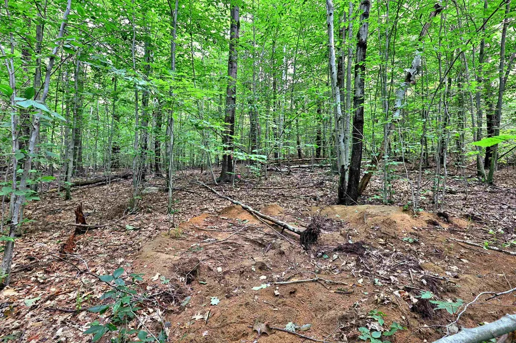 00 White Pine Hill Mendon VT 05701