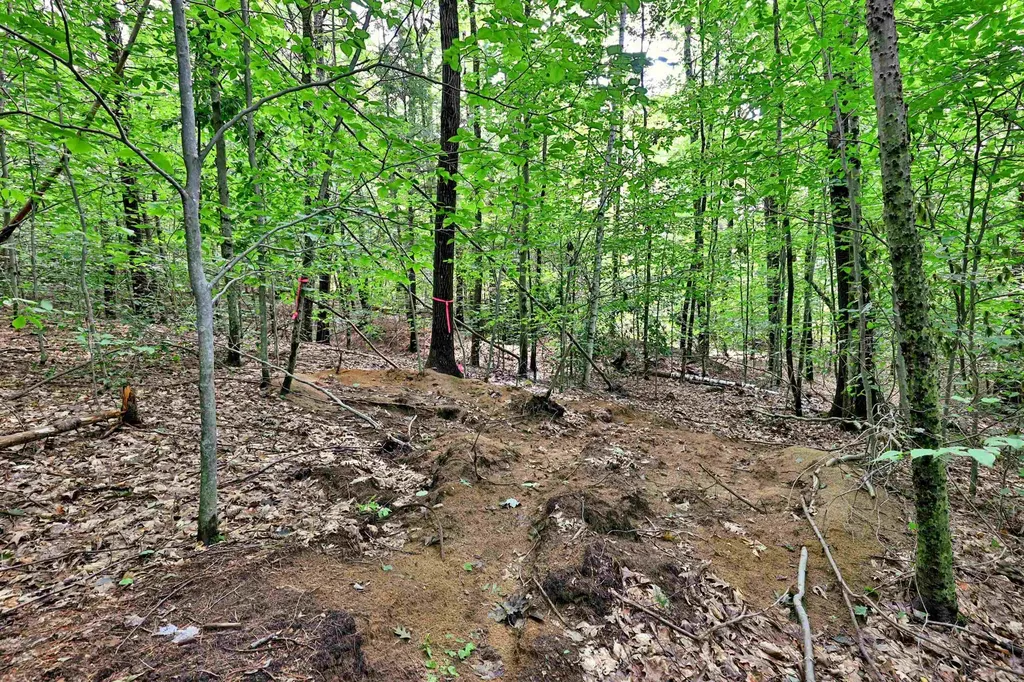 00 White Pine Hill Mendon VT 05701